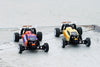 HobbyPlus Speck B 1:24 2WD Buggy