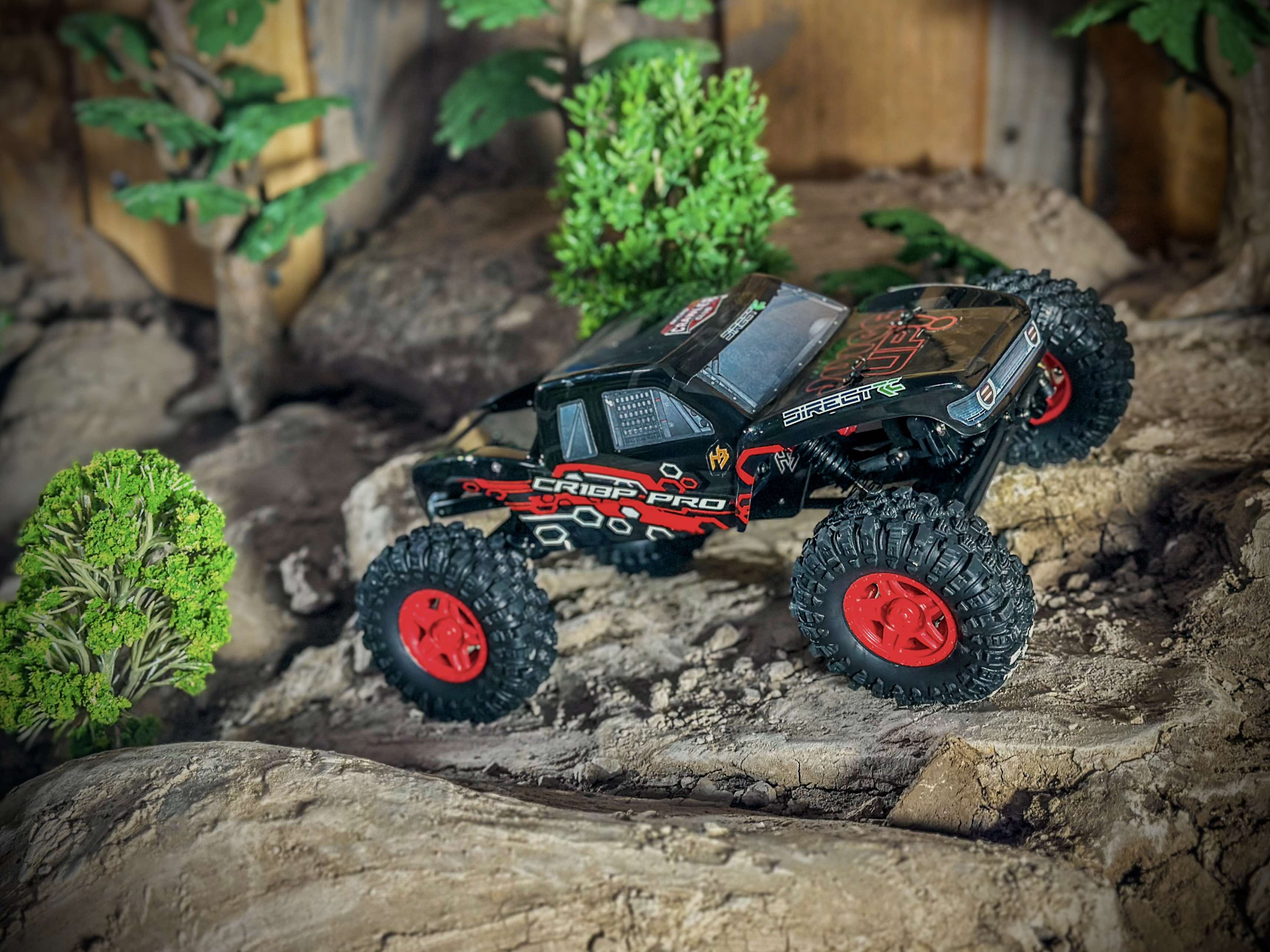 Hobby Plus 1/18 CR 18P PRO 4X4 RTR Rock Crawler