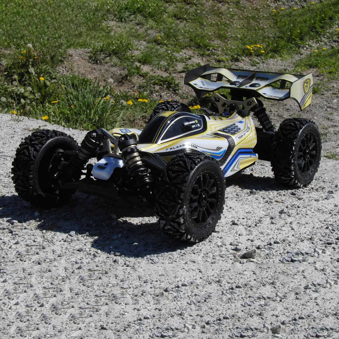 Rlaarlo 1/8 4WD Buggy Dragon Scale Knight | DSK RTR