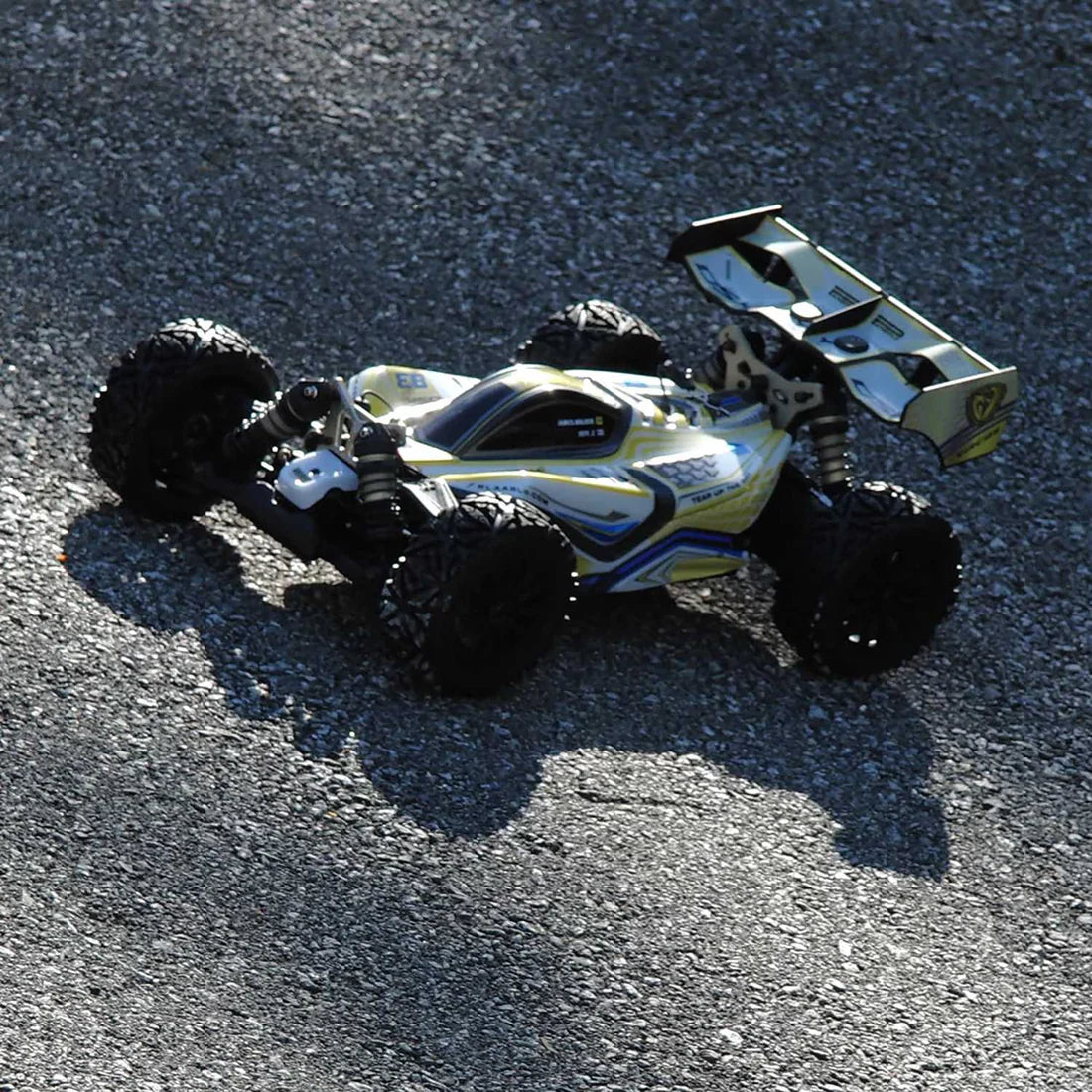 Rlaarlo 1/8 4WD Buggy Dragon Scale Knight | DSK RTR