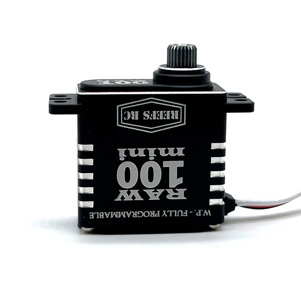 REEFS RC RAW100 MINI BLK - HeliDirect