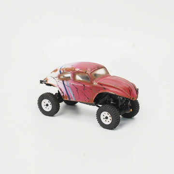 RADIANZ SCX30 Bug Dunnie Airbrush Lexan Body - FLICK