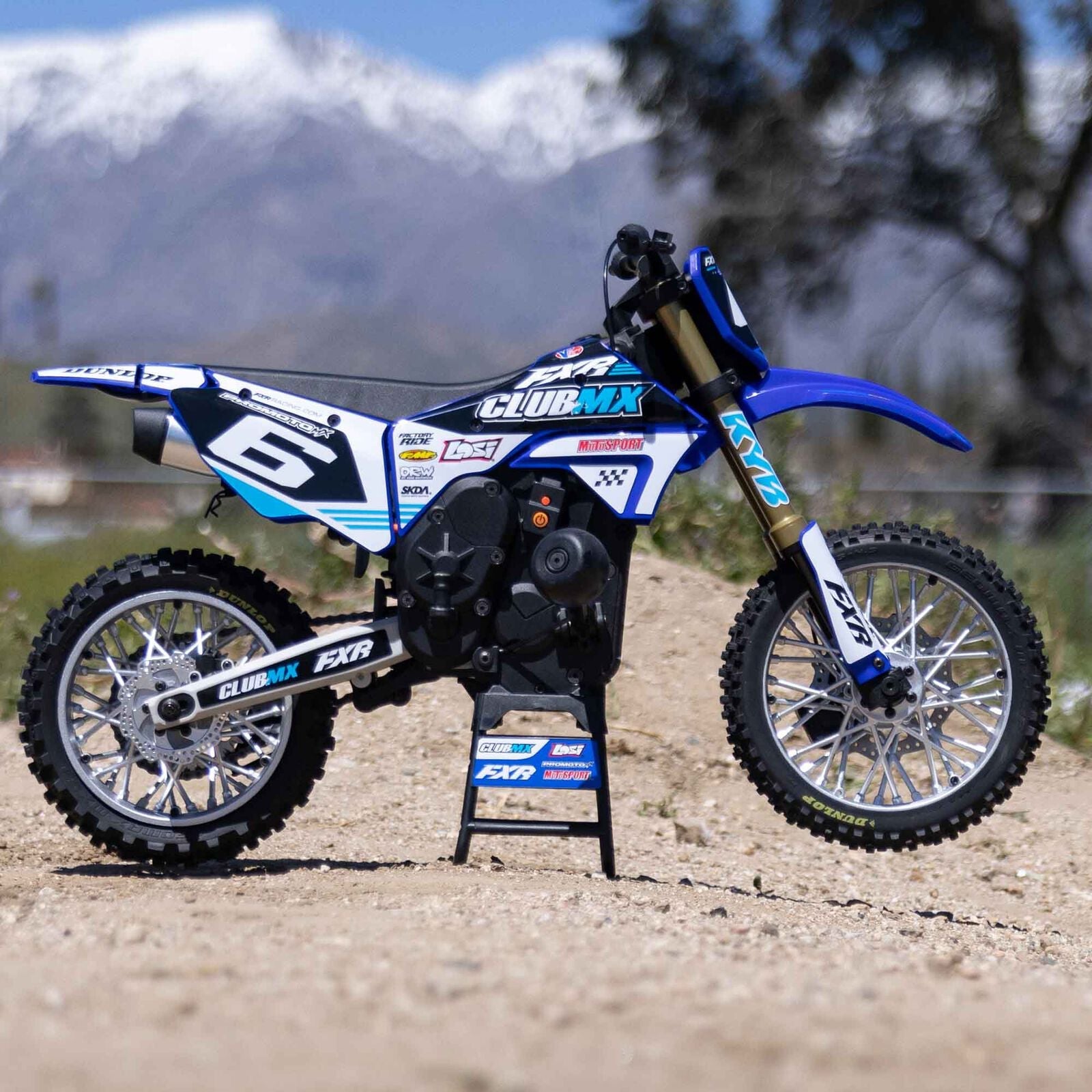 Losi 1/4 Promoto-MX Motorcycle RTR, Club MX - BLUE - HeliDirect