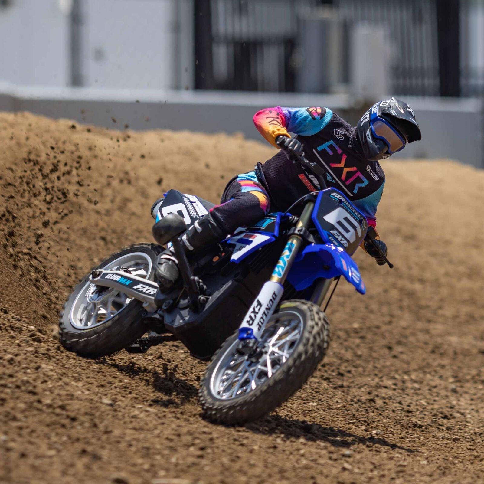 Losi 1/4 Promoto-MX Motorcycle RTR, Club MX - BLUE - HeliDirect