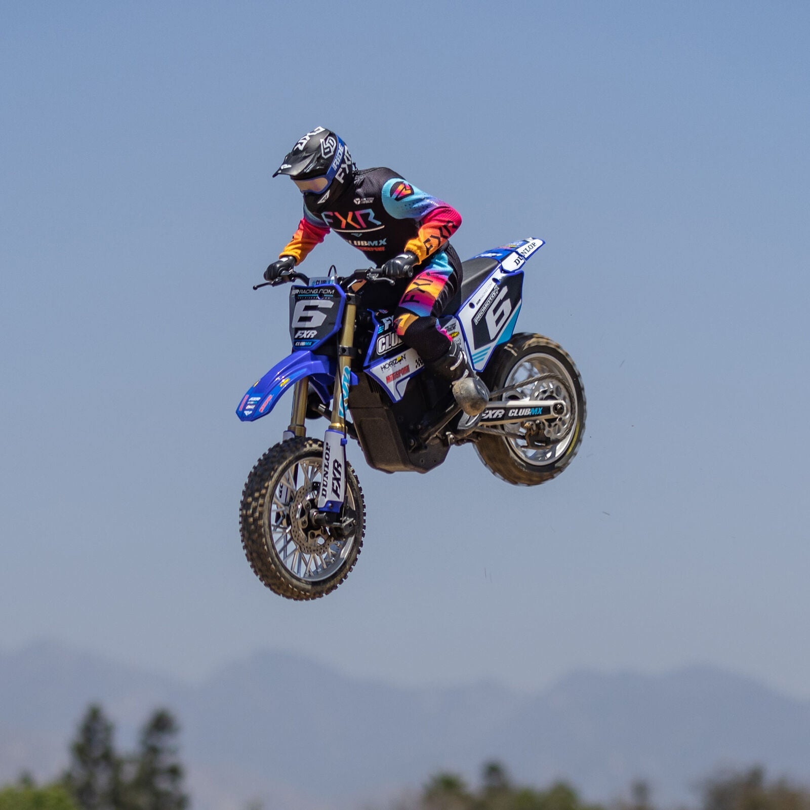 Losi 1/4 Promoto-MX Motorcycle RTR, Club MX - BLUE - HeliDirect